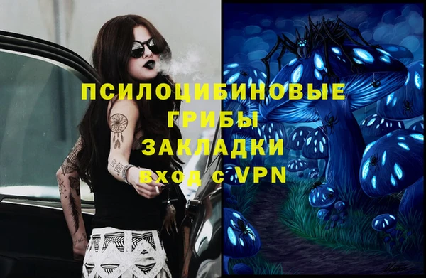 таблы Каменногорск