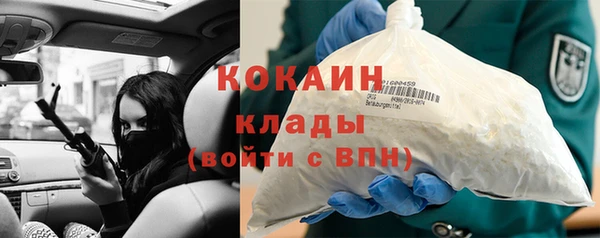 мдпв Касимов